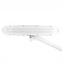 Apparecchio LED Elegante 801-sz con morsa standard