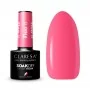 FLUO 8 CLARESA / Smalto semipermanente Soak off, 5 ml