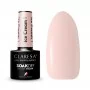 IJs 1 CLARESA / Nagellak 5мл