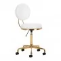 COSMETIC STOOL H5 WHITE GOLD