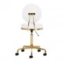 COSMETIC STOOL H5 WHITE GOLD