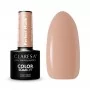 PERFECT NUDE 7 CLARESA / Gel lak za nohte 5ml