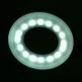 Ring LED lamp snake white