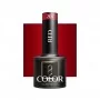 Red 207 OCHO NAILS 5g / Soakoff UV/LED Gel, 5 ml