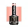 OCHO NAILS Vernis à ongles hybride Rainbow R03 -5 g