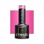 OCHO NAILS Vernis à ongles hybride Rainbow R06 -5 g