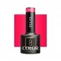 OCHO NAILS Fluo F05 Smalto UV Gel -5 g