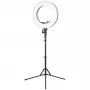 Circular lamp 18' 48W LED black + tripod