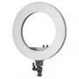 Circular lamp 18' 48W LED black + tripod