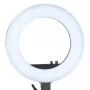 Circular lamp 18' 48W LED black + tripod