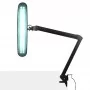 LED-werkplaatslamp Elegante 801-TL met bankschroeven