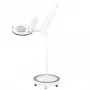 Elegante 6027 60 LED smd 5D lamp met vergrootglas en statief