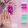 NTN Premium Garden Party Nr 178 / Vernis à ongles gel 5ml