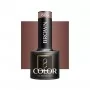 Ocho Brown 806 / Gel lak za nohte 5ml