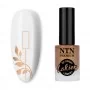 Βερνίκι σφραγίδων και πλακών NTN Premium Rose Gold 7ml Nr. 101