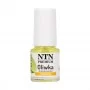 NTN Premium küünenahaõli Lime 5 ml Nr. 06