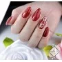 MollyLac Gel Lacquer Hearts & kisses dazzling kisses 5ml nr 197