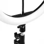 GLOW 13" RGB bsc ring lamp on a 10W stand