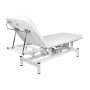 Espreguiçadeira de massagem eléctrica Sillon 079 1 motor Branco