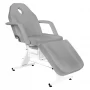 Cosmetic chair Basic 202 with tray gray