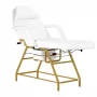 557G Cosmetic chair gold with white cuvettes