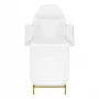 557G Cosmetic chair gold with white cuvettes