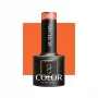 Automne A01 OCHO NAILS 5g / Vernis gel 5ml