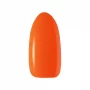 Automne A01 OCHO NAILS 5g / Vernis gel 5ml