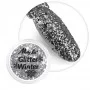 Glitter Winter Nagel Poeder 1g - 1