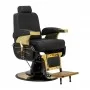 Hair System frizerski stol MT-91 Gold Black